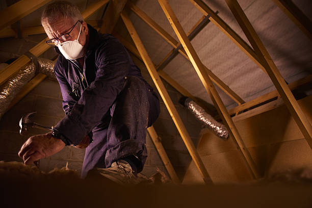 Best DIY Insulation Kits and Guidance in Swanton, OH