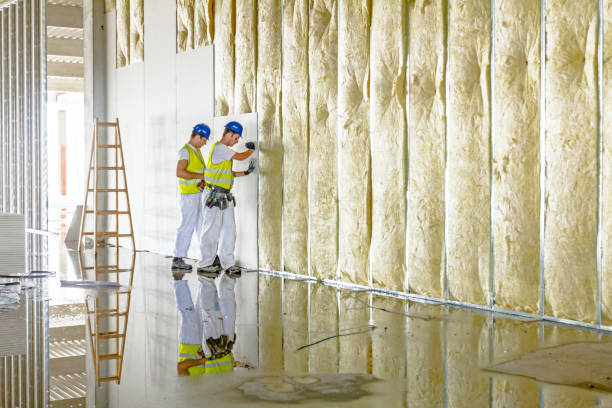 Types of Insulation We Offer in Swanton, OH